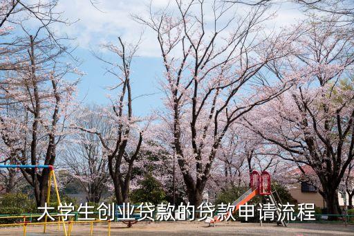 大學生創(chuàng)業(yè)貸款的貸款申請流程
