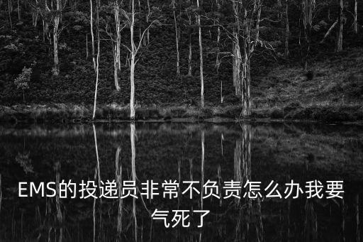 投遞手怎么樣，圓通快遞派件員一個快件多少錢的提成拿到手的縣級  搜