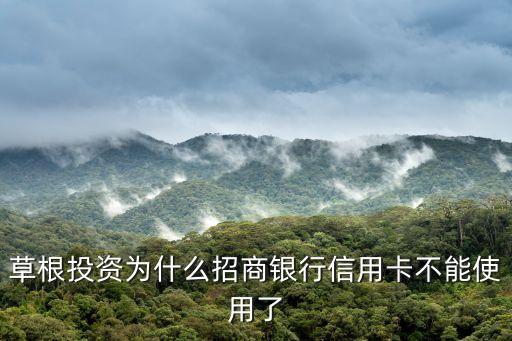 草根投資怎么不能用信用卡沖值了，草根投資為什么充值不了說銀行轉(zhuǎn)賬失敗