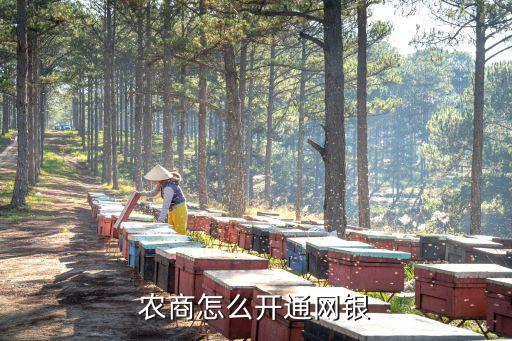 農(nóng)商怎么開通網(wǎng)銀