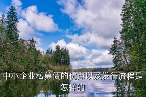 私募債怎么發(fā)行，中小企業(yè)私募債的優(yōu)點(diǎn)以及發(fā)行流程是怎樣的