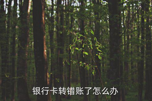 轉(zhuǎn)銀行卡轉(zhuǎn)錯(cuò)了賬怎么辦，銀行卡轉(zhuǎn)賬錯(cuò)了怎么辦