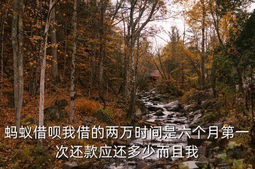 螞蟻借唄我借的兩萬時間是六個月第一次還款應(yīng)還多少而且我