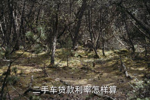 二手車貸款利率怎樣算