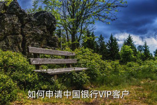 如何申請中國銀行VIP客戶