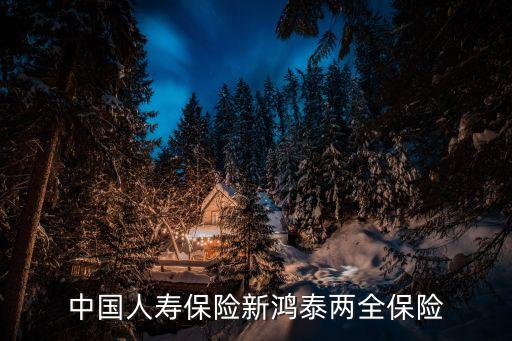 中國人壽保險新鴻泰兩全保險