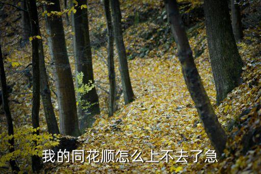 我的同花順怎么上不去了急