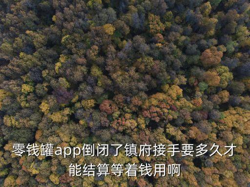 零錢(qián)罐app倒閉了鎮(zhèn)府接手要多久才能結(jié)算等著錢(qián)用啊