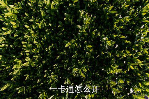 一卡通怎么開