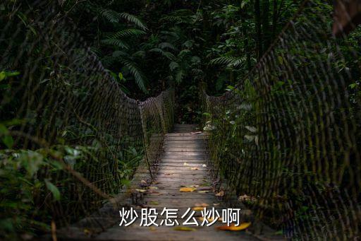 炒股怎么炒啊