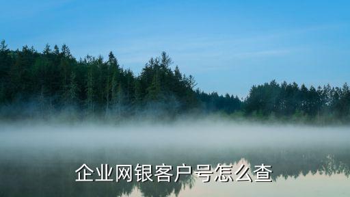 怎么查企業(yè)網(wǎng)銀客戶號，企業(yè)網(wǎng)銀客戶號怎么查