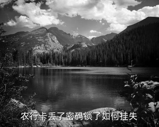 農(nóng)行卡丟了密碼鎖了如何掛失