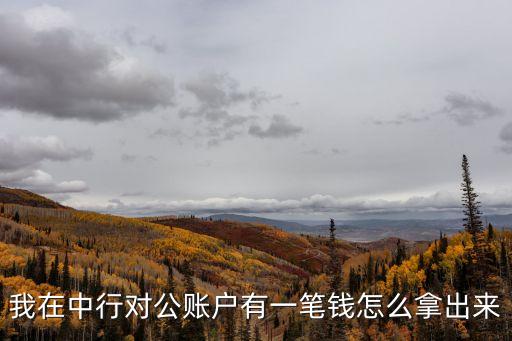 中行對(duì)賬單怎么取，中行卡怎麼調(diào)取帳單網(wǎng)銀如何辦理