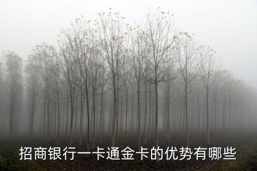 招商銀行一卡通金卡的優(yōu)勢有哪些