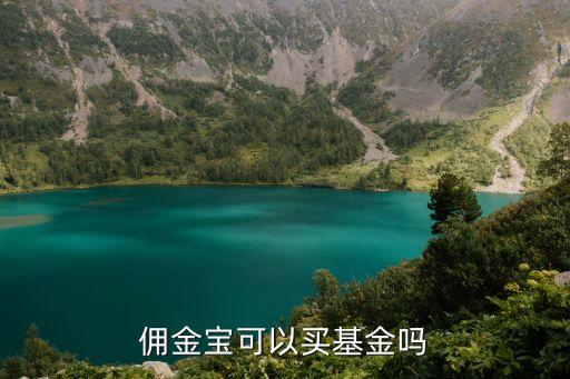 傭金寶怎么買基金，傭金寶可以買基金嗎