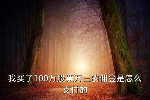 我買了100萬股票萬三的傭金是怎么支付的
