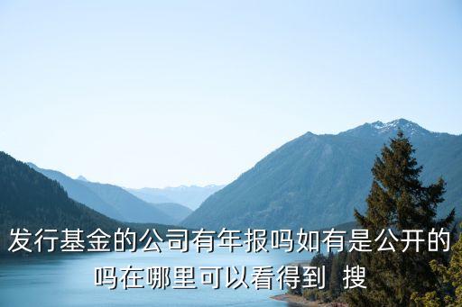 基金公司年報(bào)怎么查，基金公司的年報(bào)和各個(gè)上市公司的年報(bào)到哪里查看呢