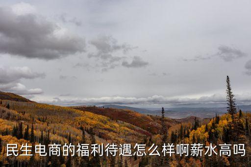 民生電商的福利待遇怎么樣啊薪水高嗎