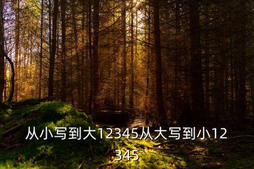 從小寫到大12345從大寫到小12345