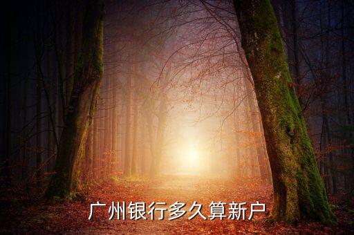 中信新戶怎么定義，中信信用卡賬戶是什么
