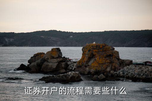 證券怎么開戶啊，證券公司怎么開戶啊