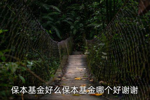 保本基金好么保本基金哪個好謝謝