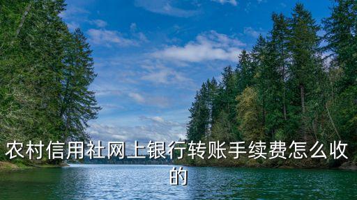 農(nóng)村信用社網(wǎng)上銀行轉(zhuǎn)賬手續(xù)費(fèi)怎么收的