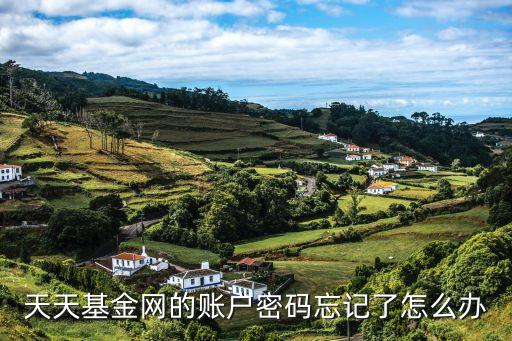 天天基金網(wǎng)的賬戶密碼忘記了怎么辦