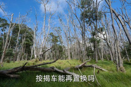 按揭車能再置換嗎
