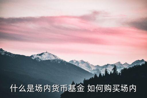 場內(nèi)貨幣基金怎么買，什么是場內(nèi)貨幣基金 如何購買場內(nèi)貨幣基金