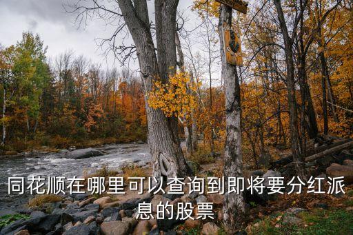 同花順怎么看股票分紅，同花順怎么查看公司分紅記錄