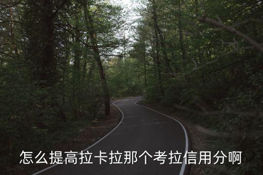 怎么提高拉卡拉那個(gè)考拉信用分啊