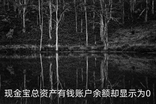 現金寶總資產有錢賬戶余額卻顯示為0