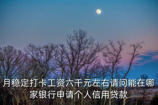 月穩(wěn)定打卡工資六千元左右請問能在哪家銀行申請個人信用貸款