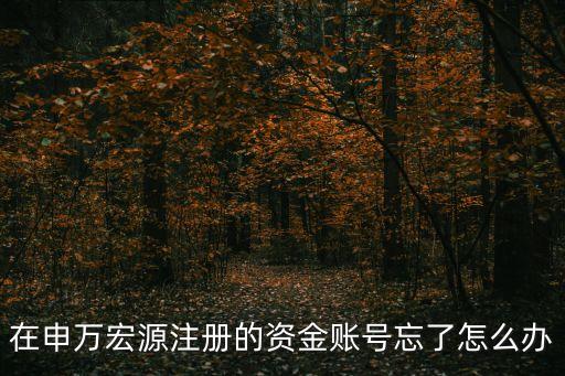在申萬宏源注冊(cè)的資金賬號(hào)忘了怎么辦