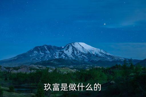 玖富是做什么的