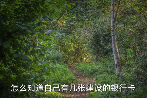 怎么查名下建行銀行卡，怎么通過(guò)身份證查建設(shè)銀行賬號(hào)
