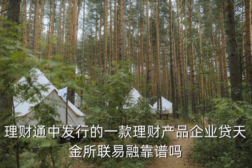 理財(cái)通中發(fā)行的一款理財(cái)產(chǎn)品企業(yè)貸天金所聯(lián)易融靠譜嗎