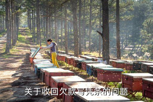 投資人收回借款怎么寫，關(guān)于收回欠款寫憑條的問題