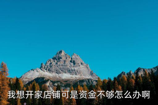 我想開(kāi)家店鋪可是資金不夠怎么辦啊
