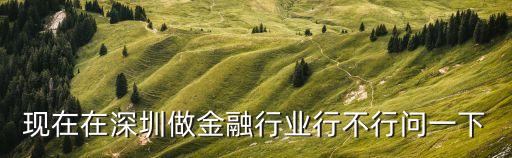 現(xiàn)在在深圳做金融行業(yè)行不行問一下