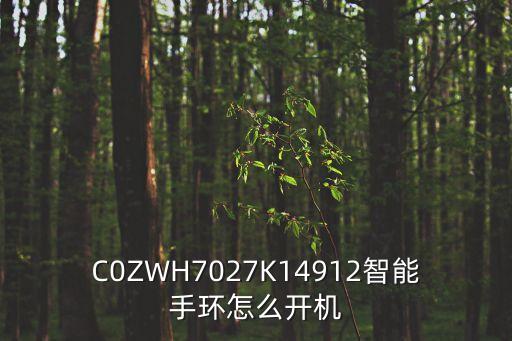 興業(yè)銀行手環(huán)怎么開機，這個手環(huán)怎么開機求大神指點