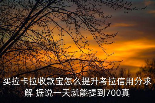 買拉卡拉收款寶怎么提升考拉信用分求解 據(jù)說一天就能提到700真