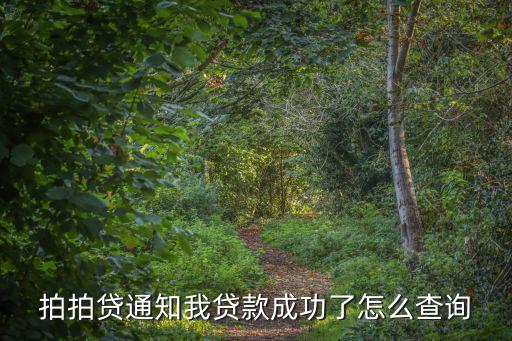 拍拍貸通知我貸款成功了怎么查詢