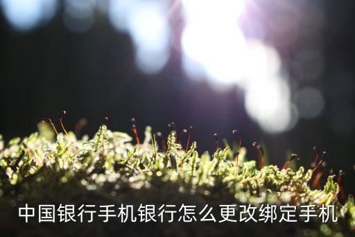 手機(jī)網(wǎng)銀換手機(jī)怎么辦理嗎，中國(guó)銀行手機(jī)銀行換手機(jī)了怎么弄