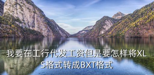 我要在工行代發(fā)工資但是要怎樣將XLS格式轉成BXT格式