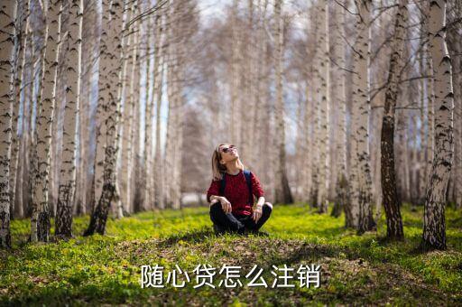 隨心貸怎么注銷