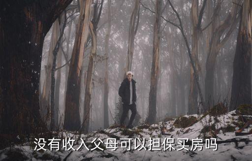 沒有收入父母可以擔保買房嗎