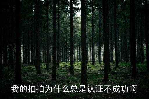 拍拍貸認(rèn)證征信一直不成功怎么回事，我的拍拍為什么總是認(rèn)證不成功