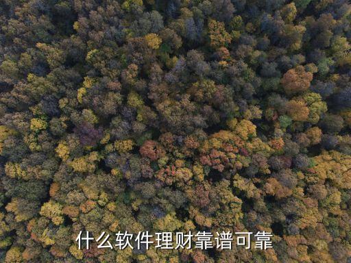 什么軟件理財(cái)靠譜可靠